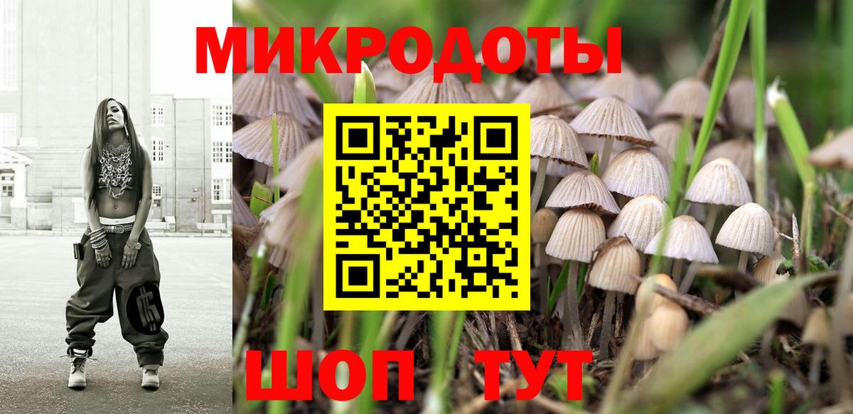 Кинель  Псилоцибиновые грибы прущие грибы  Вход с VPN 