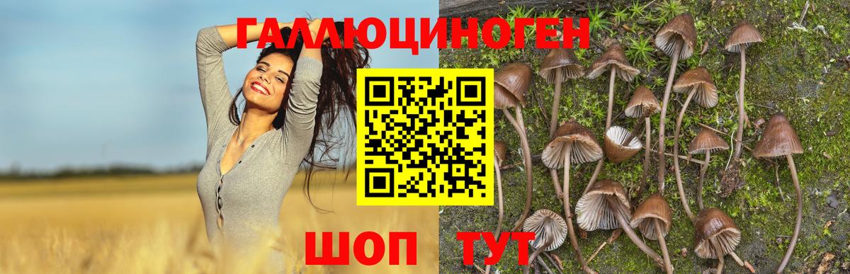 Галлюциногенные грибы Magic Shrooms Кинель